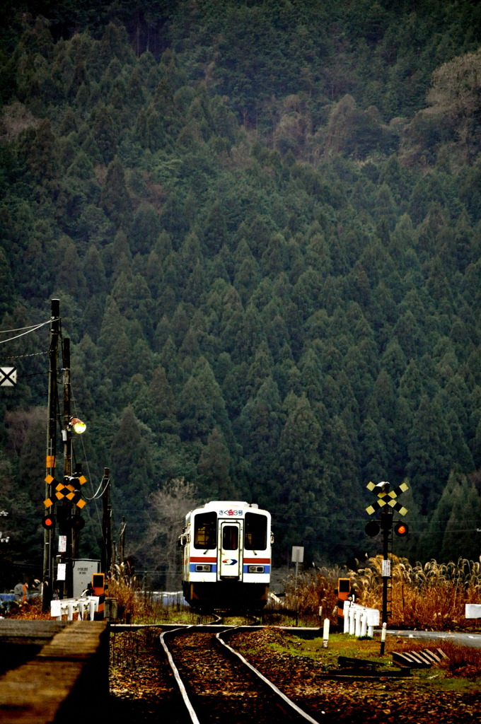 中国山地