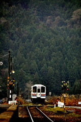中国山地