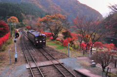 渓谷の素敵な駅