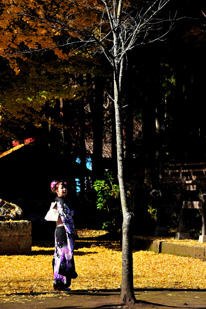 写真の女神様