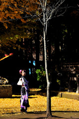 写真の女神様