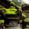 天然素材