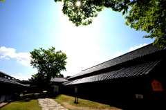 酒田の朝