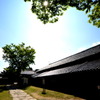 酒田の朝