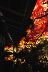 紅の空