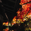 紅の空