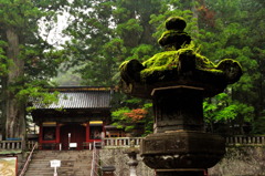 五月雨の杜