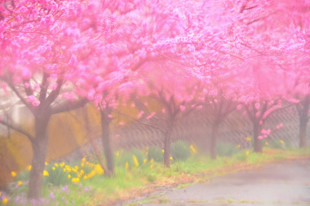 雨のキャンバス