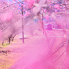 花霞
