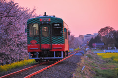 スイカ君・夕陽を追って