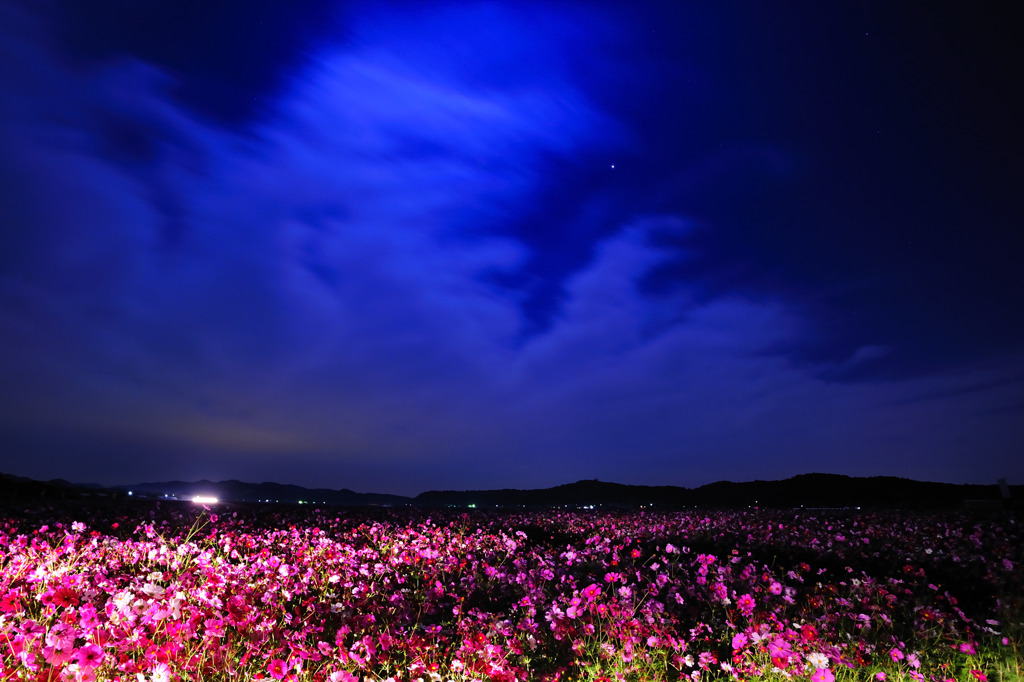 秋空の匂い