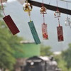 「毎日乗っても、、」