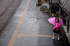 こんな雨の日に