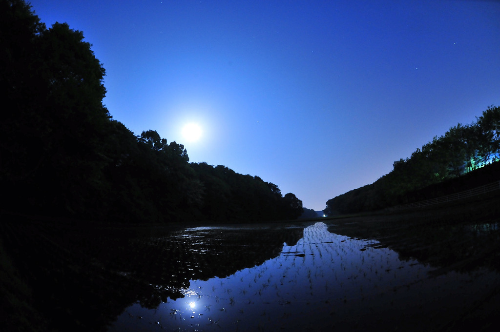 The Moon