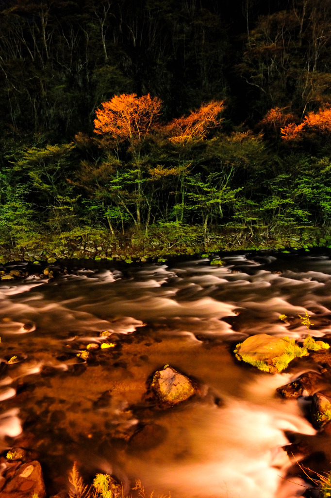 Night colors