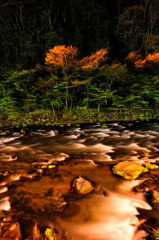 Night colors