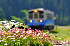 高原鉄道の風