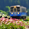 高原鉄道の風
