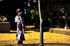 女性の美しさ