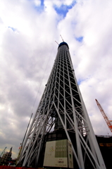東京ｽｶｲﾂﾘｰ