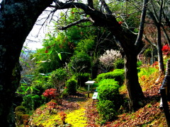 花園