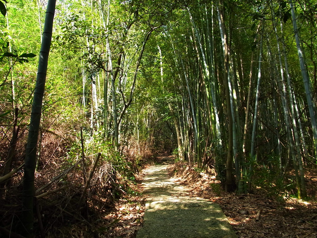 はやし