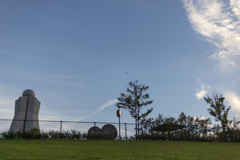 公園と飛行機