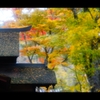 屋根と紅葉3