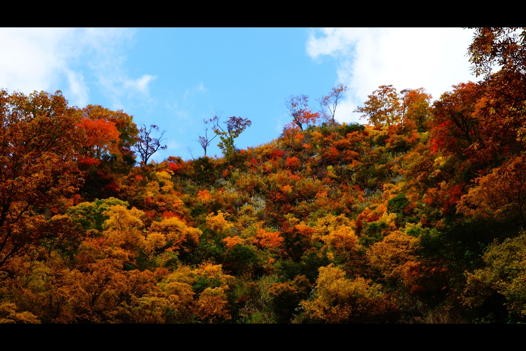 檜山滝8