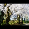 千秋公園4
