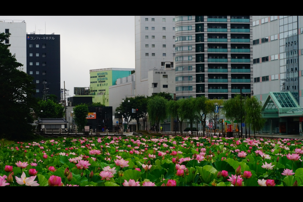 2019年8月
