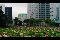 2019年8月