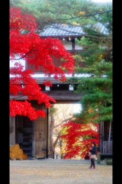 千秋公園8