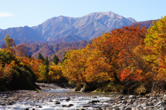 銀山平1