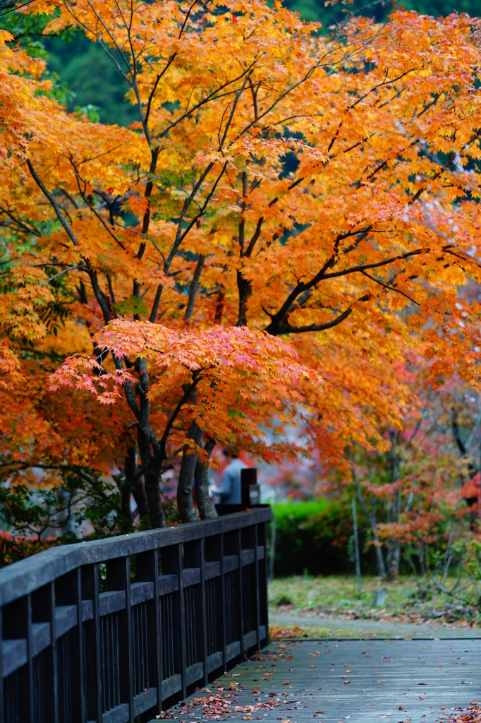 城峯公園