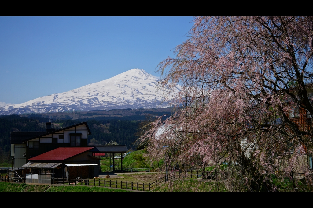 2019年5月