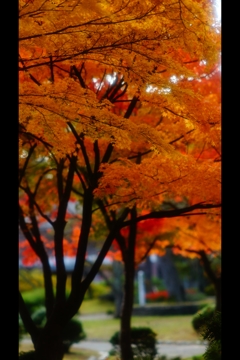 千秋公園6