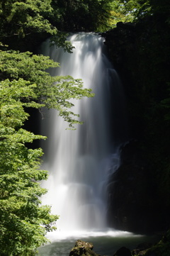 奈曽の白滝