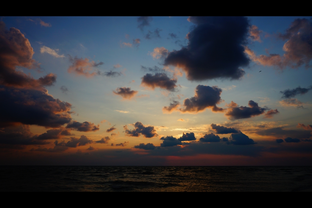 海岸は寒い