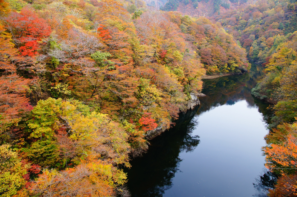 三面川Ⅲ