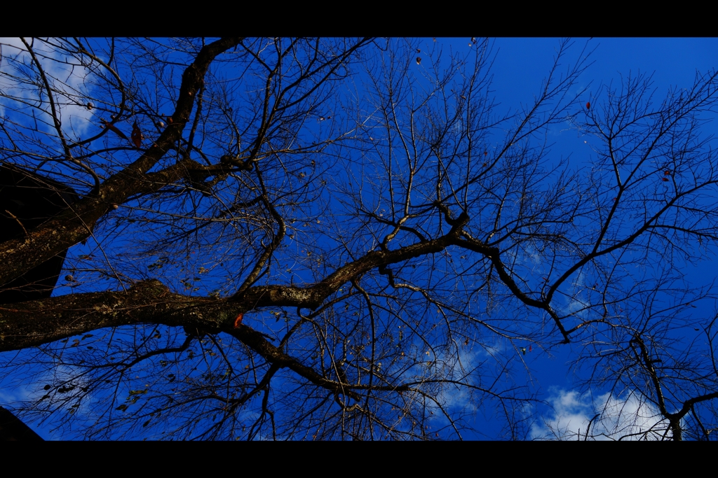 ・・・そして冬。