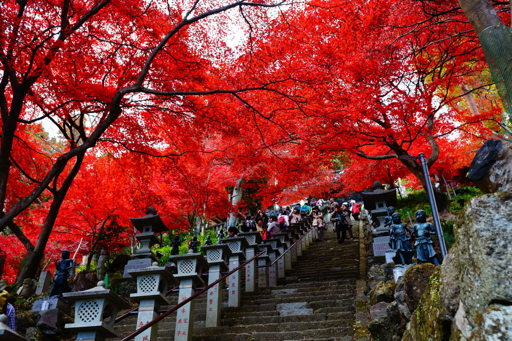 大山寺2