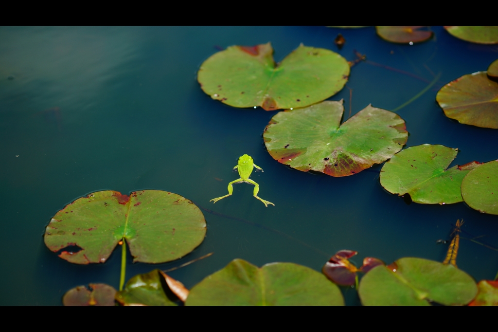 ずっとこの体勢で