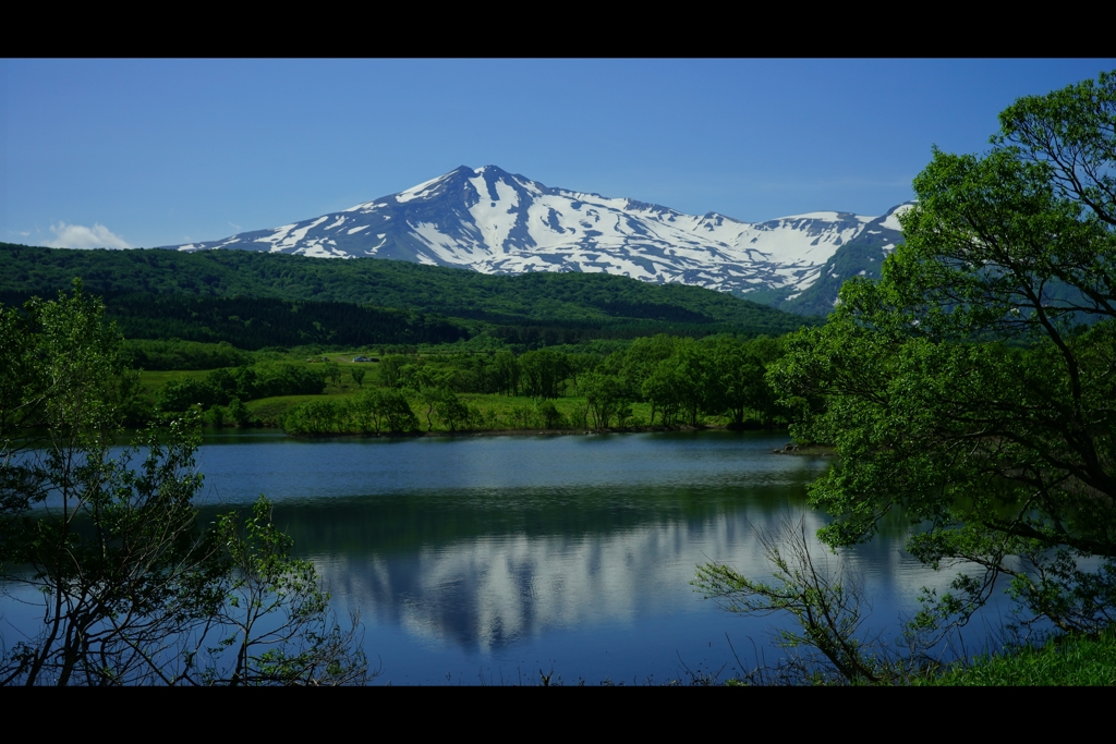 春：鳥海山7