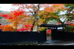 小京都の秋2