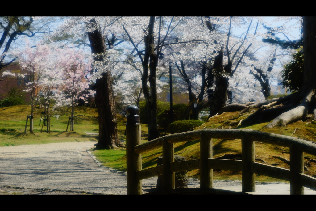 千秋公園春4