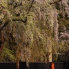 武家屋敷春の章2