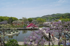 足利フラワーパーク