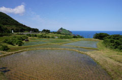 世界農業遺産