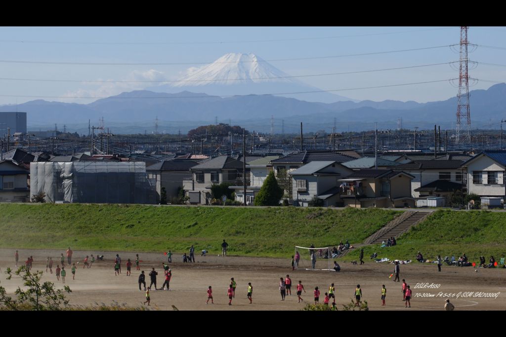 スポーツの秋